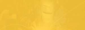 bg rosqueadeira one amarelo
